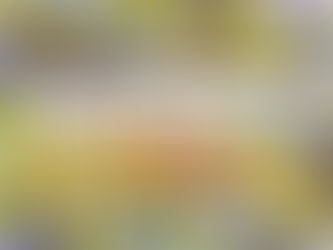 The Best Broths in Town