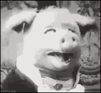 scaryPig.gif