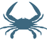 herriing point crab.png