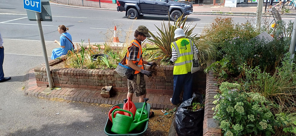 Winter gardening at Forest Hill Station
