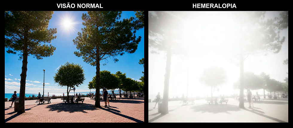 HEMERALOPIA ok.jpg