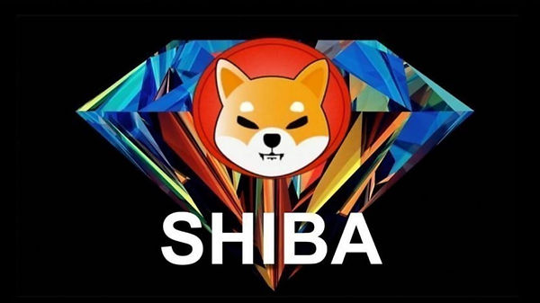 SHIB3.jpeg