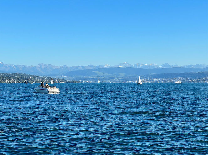 Zürichsee mit Bergen, Boote, Steuererkläung ausfüllen lassen und Freizeit gewinnen