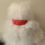 Thumbnail: Snowy Bear