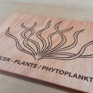 sas pfs ocean school plants trophic board woodcut