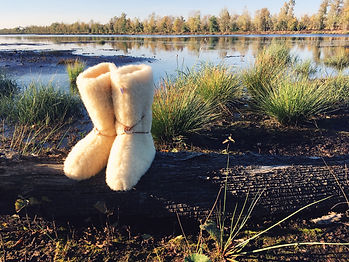 Slipper int Moor Meer.JPG