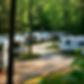 campground with rvs trees