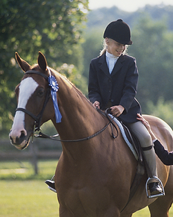 Riding Lessons