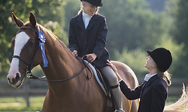 Riding Lessons