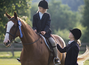Riding Lessons