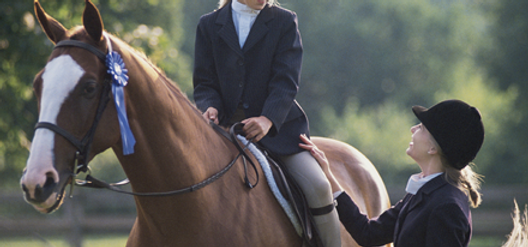 Riding Lessons
