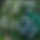 Thumbnail: Garden (2023) 120 x 90cm