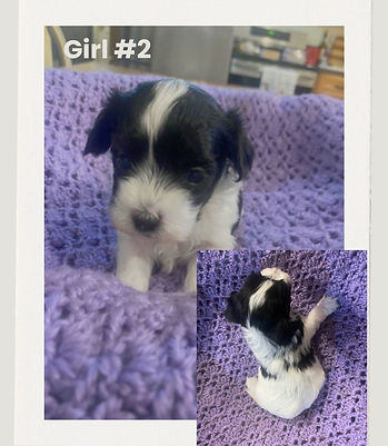 Girl #2.jpg