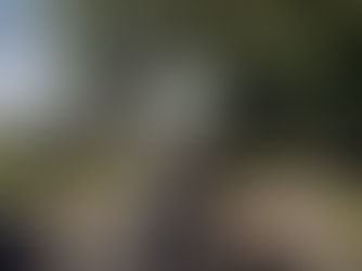 Realizing a Lifelong Dream: Traveling to Japan