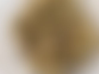 Chicken Meatballs with Mustard Sauce