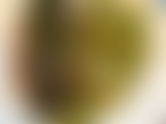 Seared Tuna with Chimichurri