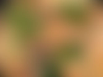 Chicken and Mushrooms