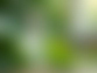 Unlocking a Healthier Home: The Surprising Benefits of Going Eco-Friendly with Cleaning