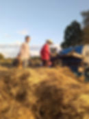126600015_3488602521365226_1634937334283931042_n.jpeg