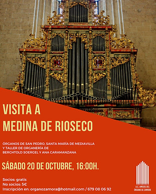 Excursion medina rioseco.jpeg