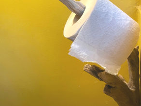 牛乳パック回収から生まれた無漂白トイレットペーパー