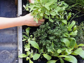 暮らしを愉しむことで地球を変える