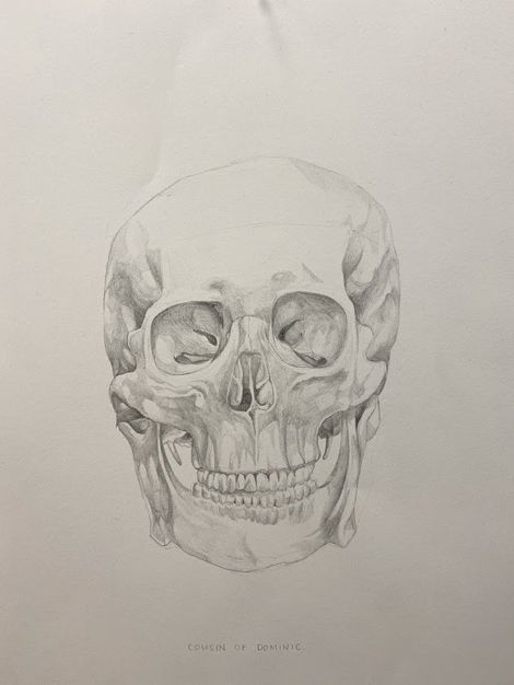 Skull