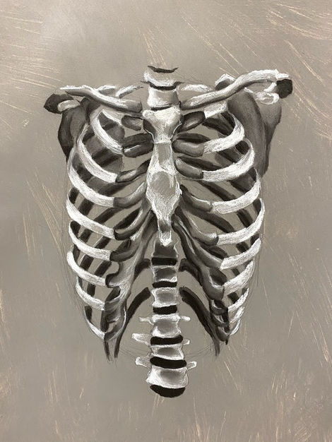 Thoracic Study