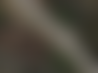 Celi's Accident, Part 4 of 7