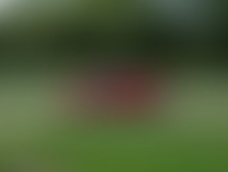 Vientirekisteröidyn Ferrarin omistajalle määrättiin 500 000 euron autovero Suomeen tuonnista – KHO 2025:57