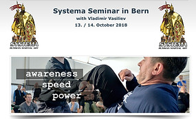 stage bern.jpg