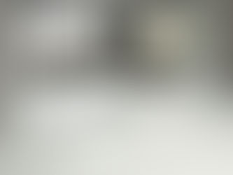 Incivtus伊特斯雪白銀狐、Nexside羅莎蒙德