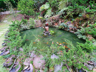 真正的"現場實景照"😄