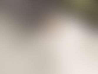 2018年度新品 艾維敦斯