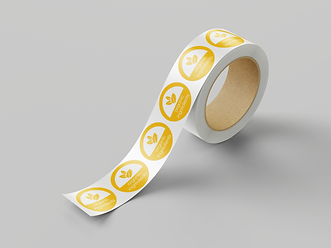 Minila Media Graphic Design Studio_EcoPet Brand Presentation_Shipping Packaging