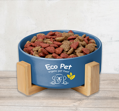 Minila Media Graphic Design Studio_EcoPet Brand Presentation_Apparel
