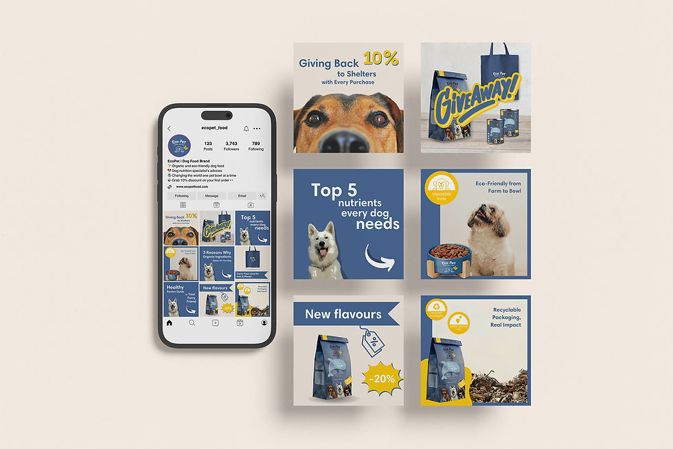 Minila Media Graphic Design Studio_EcoPet Brand Presentation_Instagram Grid and Posts