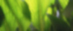 pawel-blazewicz-bR9hMgBoKP0-unsplash (00