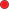 RED DOT_edited.png