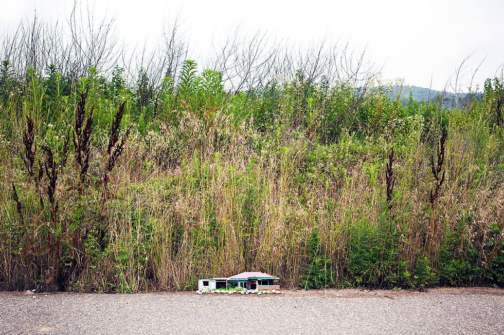 들풀 길위의 집