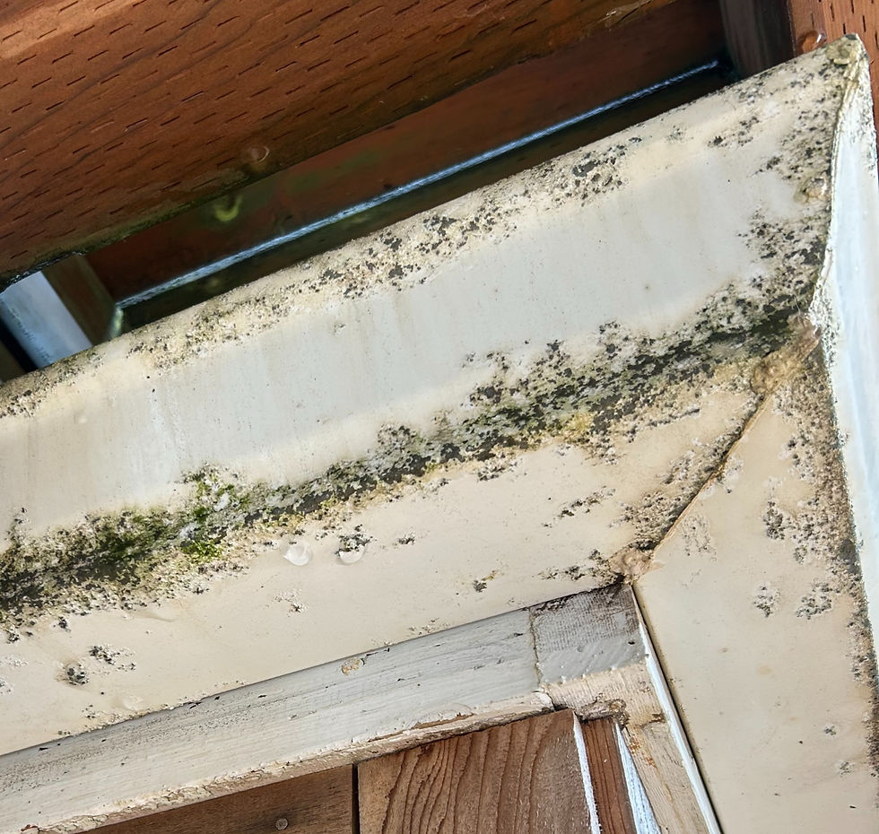 Corroded Gutter