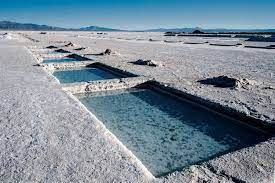 El Gobierno se reunió con directivos de Lithium Américas Corp