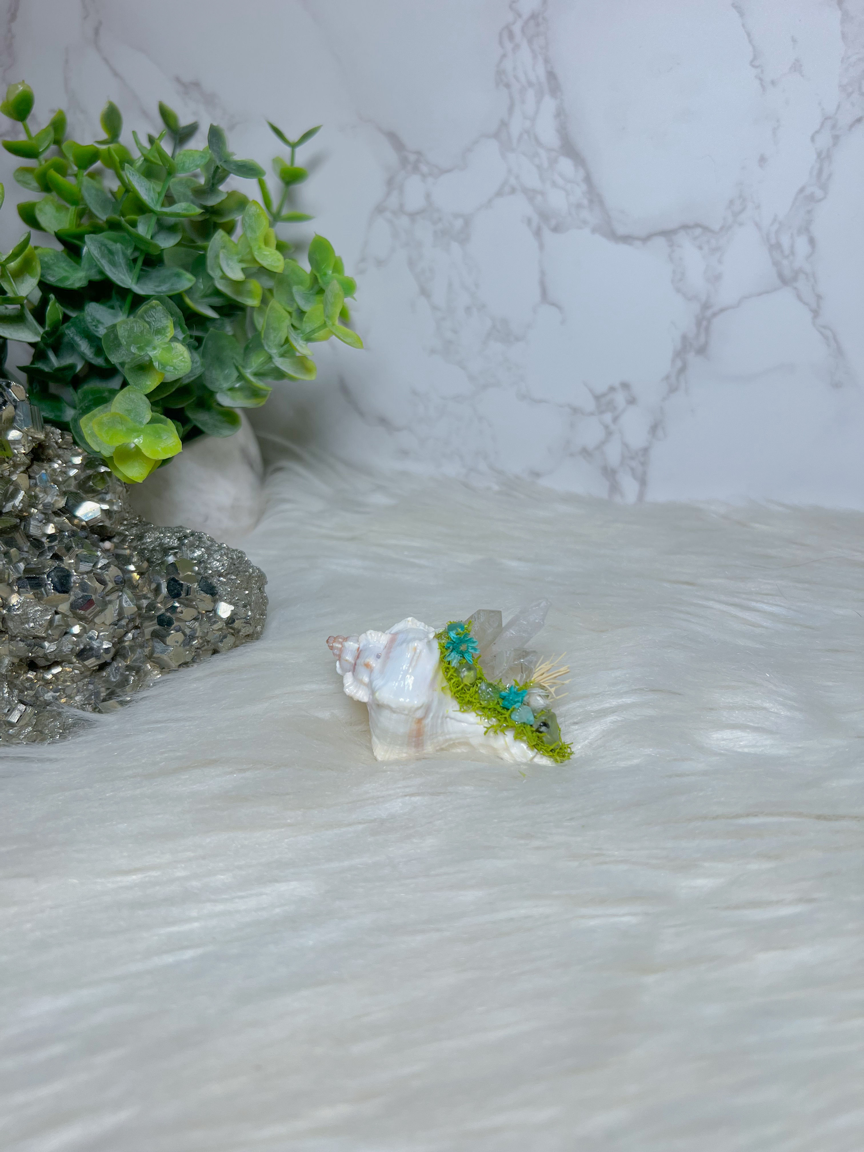 CRYSTALIZED SHELL 