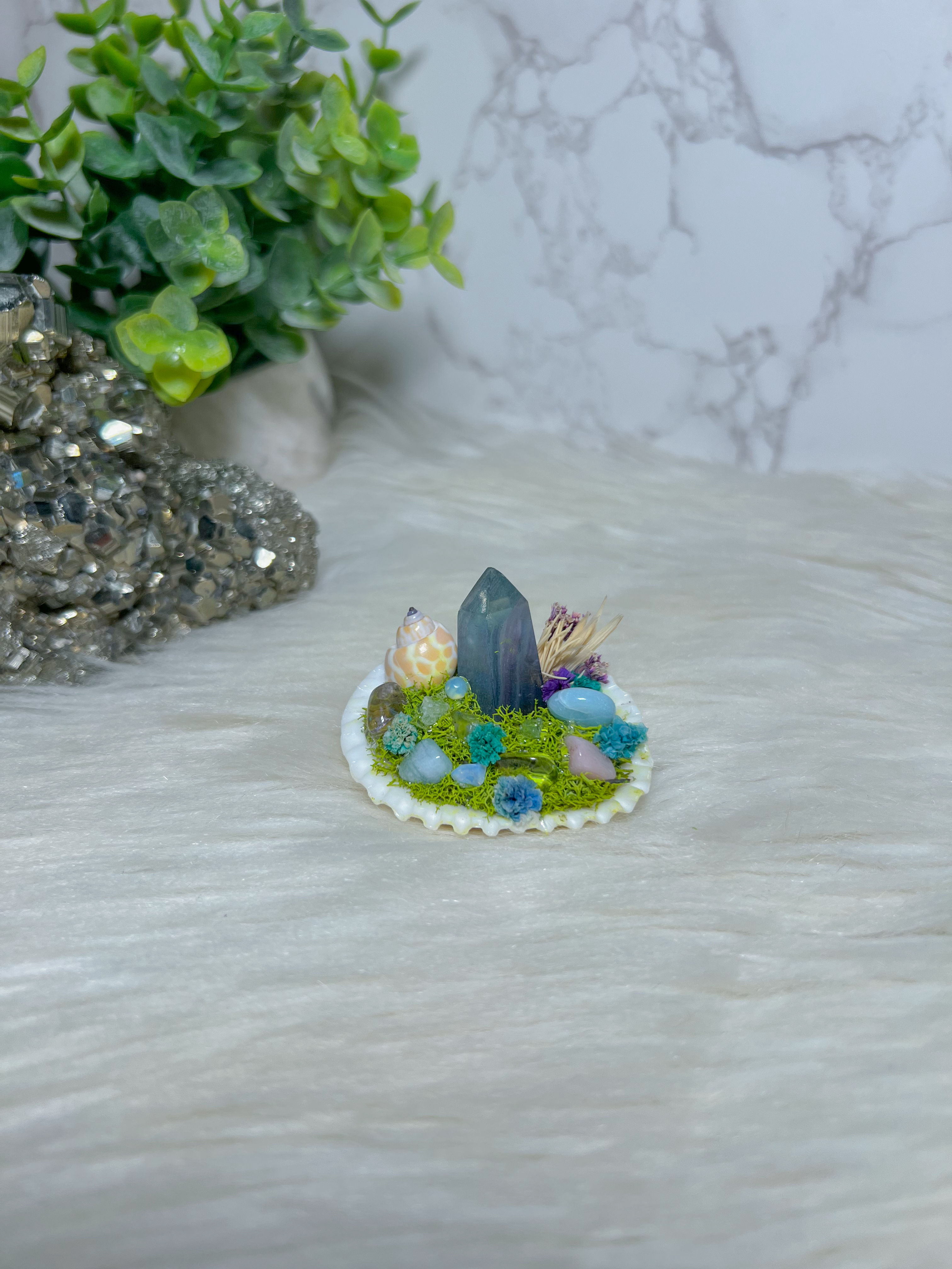 CRYSTALIZED SHELL