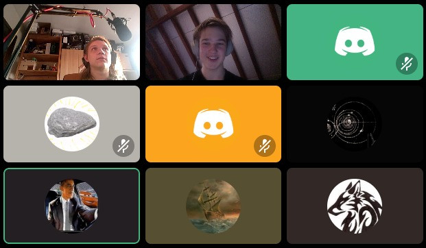 Science team meeting held on Discord on the 27/04/2020