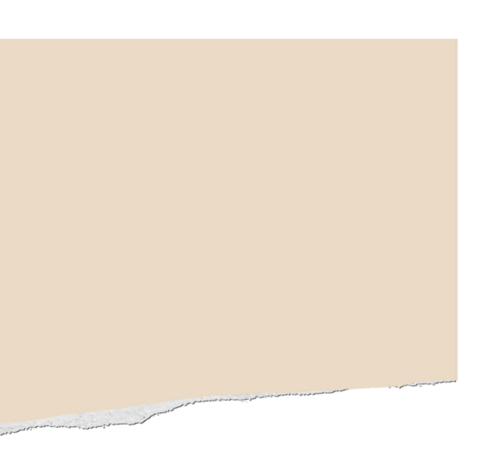 torn paper b.png