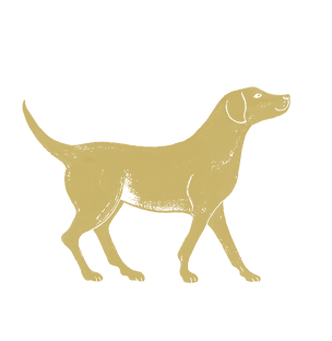 illustration of a dog