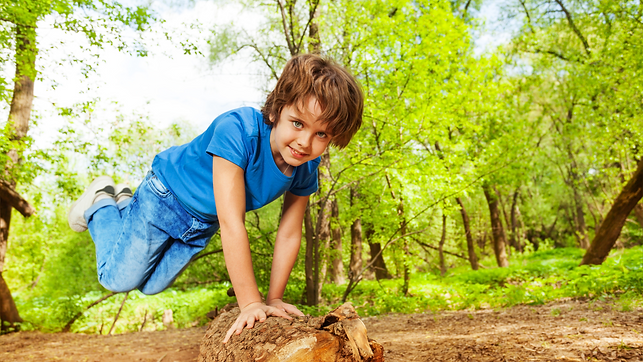 Návrh bez názvu-8.png