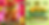 tingo melon 26 banner.png