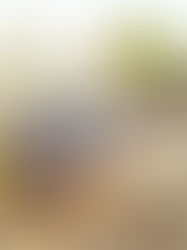 Beach Tennis: o esporte do momento!